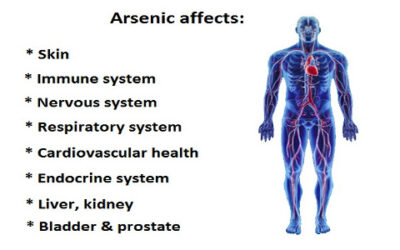 Arsenic Affects on Your Health