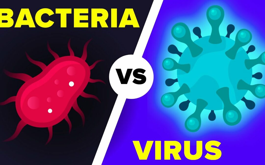 Bacteria & Viruses