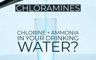 Drinking Chloramine
